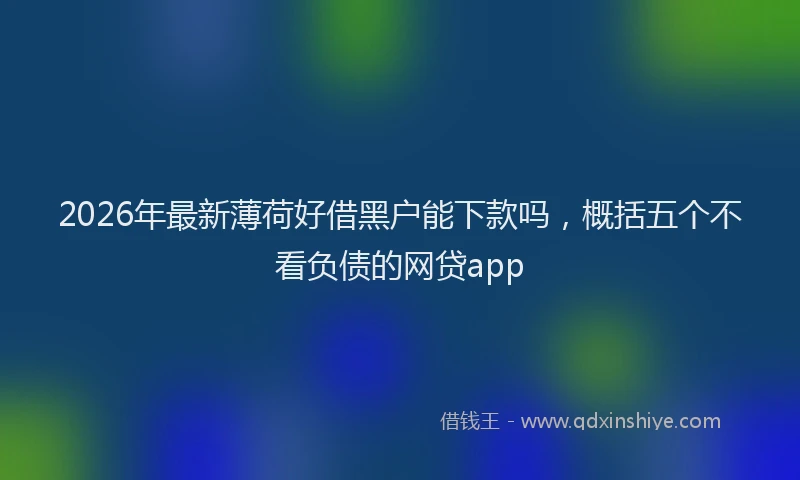 2026年最新薄荷好借黑户能下款吗，概括五个不看负债的网贷app