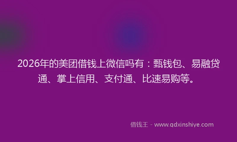 2026年的美团借钱上微信吗有：甄钱包、易融贷通、掌上信用、支付通、比速易购等。
