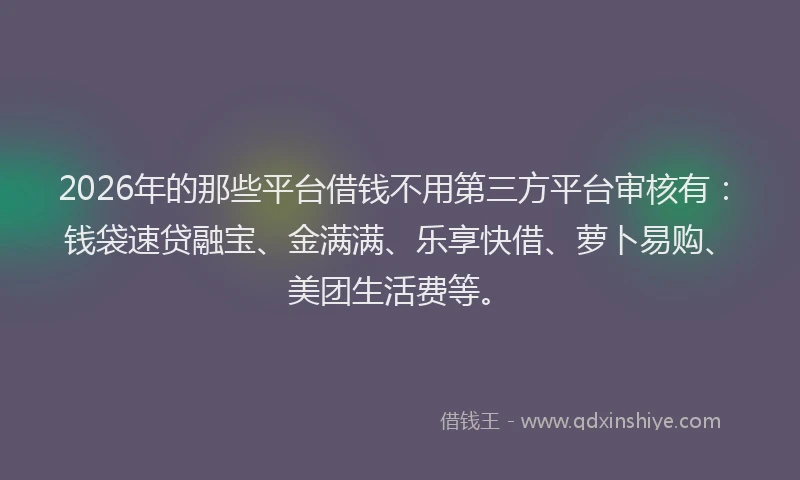 2026年的那些平台借钱不用第三方平台审核有：钱袋速贷融宝、金满满、乐享快借、萝卜易购、美团生活费等。
