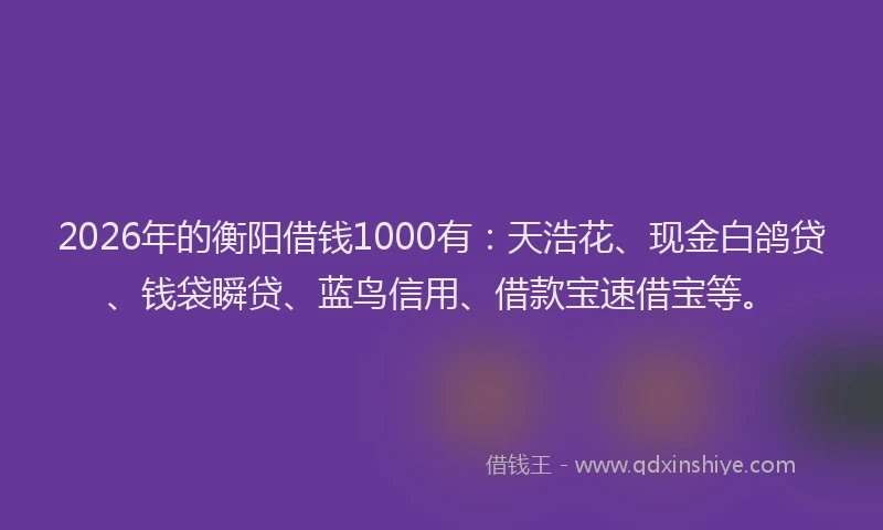 2026年的衡阳借钱1000有：天浩花、现金白鸽贷、钱袋瞬贷、蓝鸟信用、借款宝速借宝等。