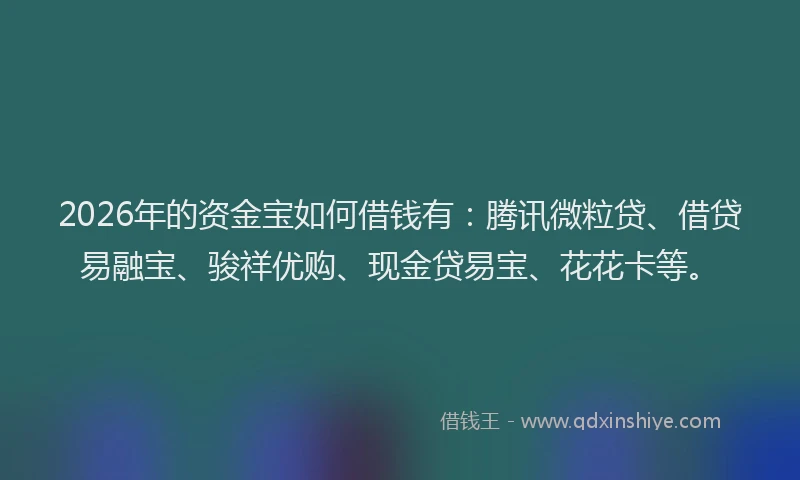 2026年的资金宝如何借钱有：腾讯微粒贷、借贷易融宝、骏祥优购、现金贷易宝、花花卡等。