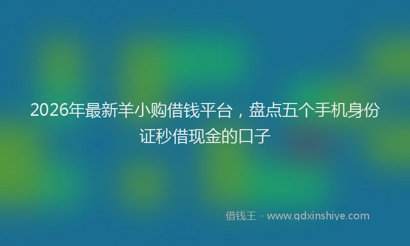 2026年最新羊小购借钱平台，盘点五个手机身份证秒借现金的口子