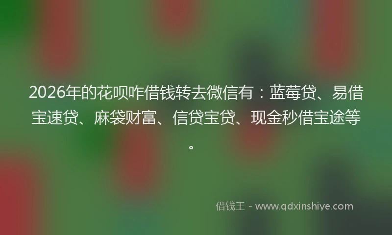 2026年的花呗咋借钱转去微信有：蓝莓贷、易借宝速贷、麻袋财富、信贷宝贷、现金秒借宝途等。
