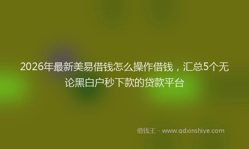 2026年最新美易借钱怎么操作借钱，汇总5个无论黑白户秒下款的贷款平台