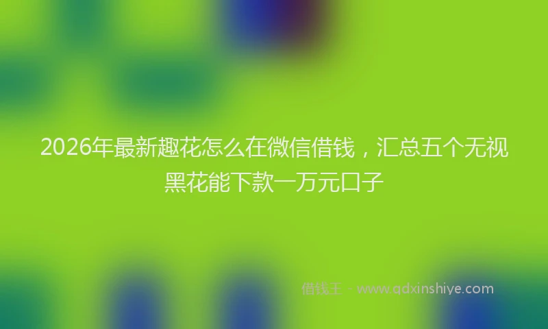2026年最新趣花怎么在微信借钱，汇总五个无视黑花能下款一万元口子