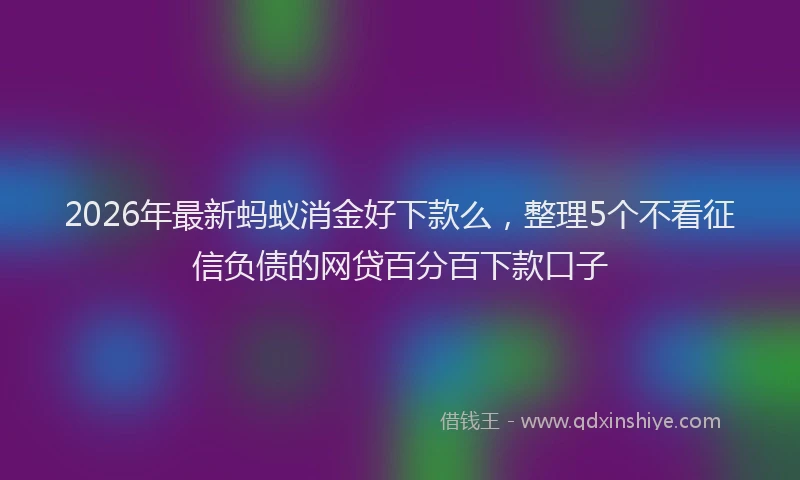 2026年最新蚂蚁消金好下款么，整理5个不看征信负债的网贷百分百下款口子