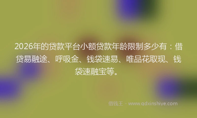 2026年的贷款平台小额贷款年龄限制多少有：借贷易融途、呼吸金、钱袋速易、唯品花取现、钱袋速融宝等。