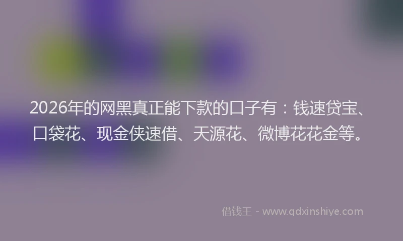2026年的网黑真正能下款的口子有：钱速贷宝、口袋花、现金侠速借、天源花、微博花花金等。