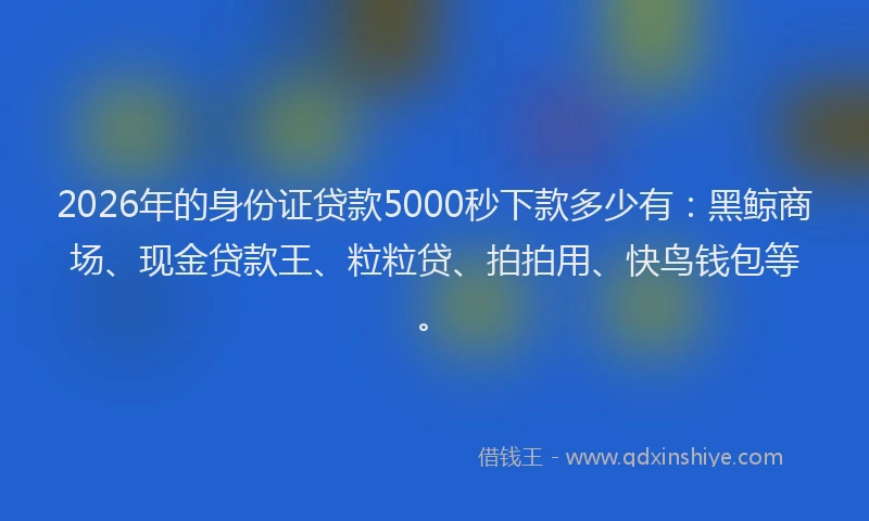 2026年的身份证贷款5000秒下款多少有：黑鲸商场、现金贷款王、粒粒贷、拍拍用、快鸟钱包等。