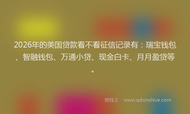 2026年的美国贷款看不看征信记录有：瑞宝钱包、智融钱包、万通小贷、现金白卡、月月盈贷等。