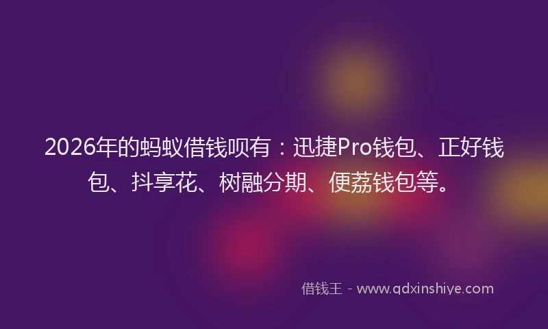 2026年的蚂蚁借钱呗有：迅捷Pro钱包、正好钱包、抖享花、树融分期、便荔钱包等。
