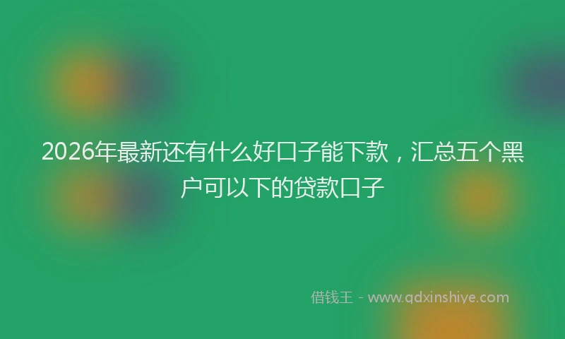 2026年最新还有什么好口子能下款，汇总五个黑户可以下的贷款口子