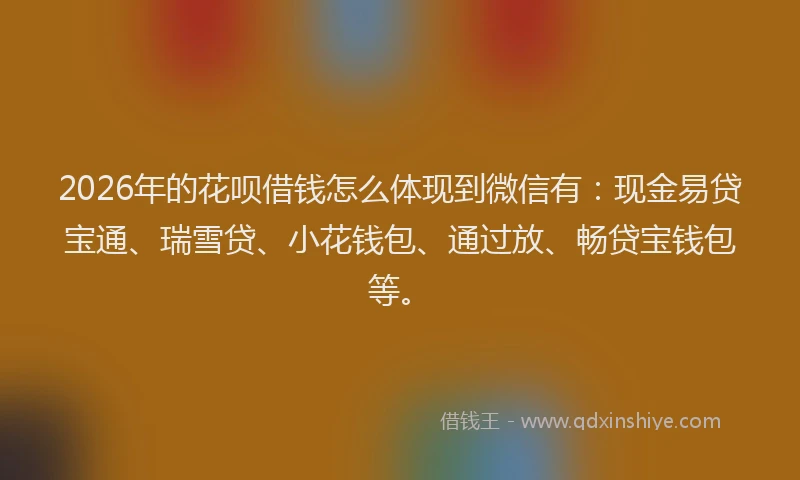 2026年的花呗借钱怎么体现到微信有：现金易贷宝通、瑞雪贷、小花钱包、通过放、畅贷宝钱包等。
