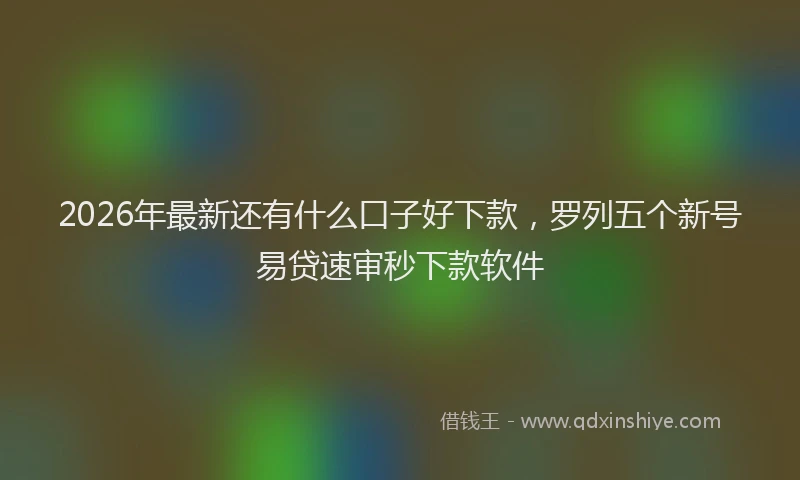 2026年最新还有什么口子好下款，罗列五个新号易贷速审秒下款软件