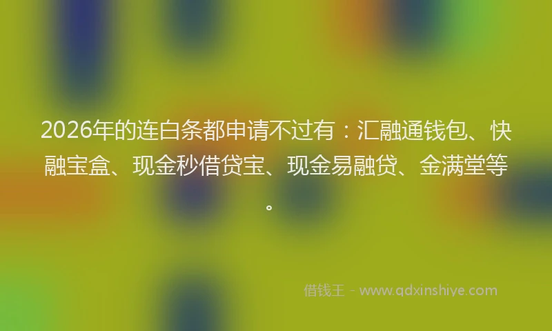 2026年的连白条都申请不过有：汇融通钱包、快融宝盒、现金秒借贷宝、现金易融贷、金满堂等。