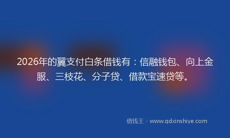 2026年的翼支付白条借钱有：信融钱包、向上金服、三枝花、分子贷、借款宝速贷等。