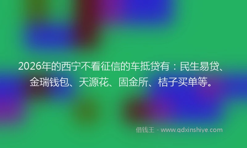 2026年的西宁不看征信的车抵贷有：民生易贷、金瑞钱包、天源花、固金所、桔子买单等。
