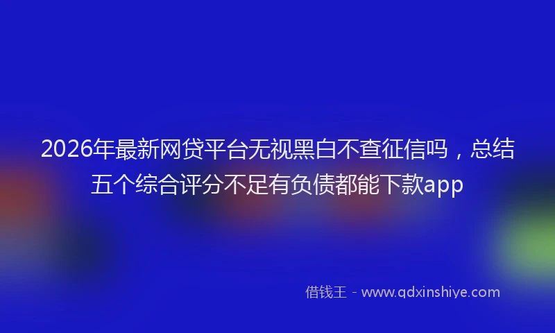 2026年最新网贷平台无视黑白不查征信吗，总结五个综合评分不足有负债都能下款app