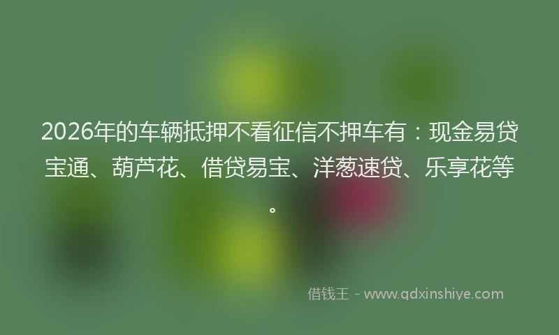 2026年的车辆抵押不看征信不押车有：现金易贷宝通、葫芦花、借贷易宝、洋葱速贷、乐享花等。