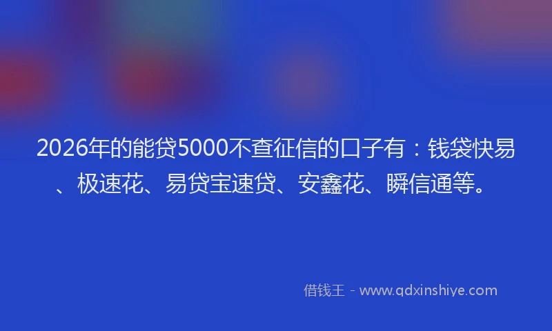 2026年的能贷5000不查征信的口子有：钱袋快易、极速花、易贷宝速贷、安鑫花、瞬信通等。