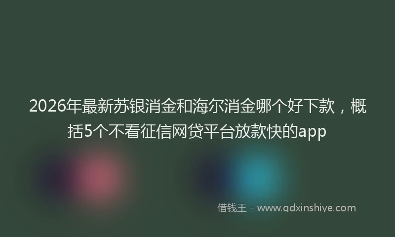 2026年最新苏银消金和海尔消金哪个好下款，概括5个不看征信网贷平台放款快的app