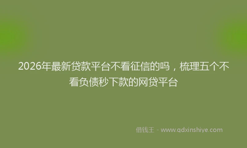 2026年最新贷款平台不看征信的吗，梳理五个不看负债秒下款的网贷平台