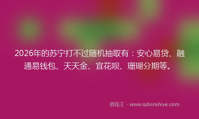 2026年的苏宁打不过随机抽取有：安心易贷、融通易钱包、天天金、宜花呗、珊瑚分期等。