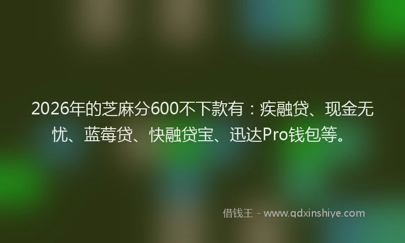 2026年的芝麻分600不下款有：疾融贷、现金无忧、蓝莓贷、快融贷宝、迅达Pro钱包等。