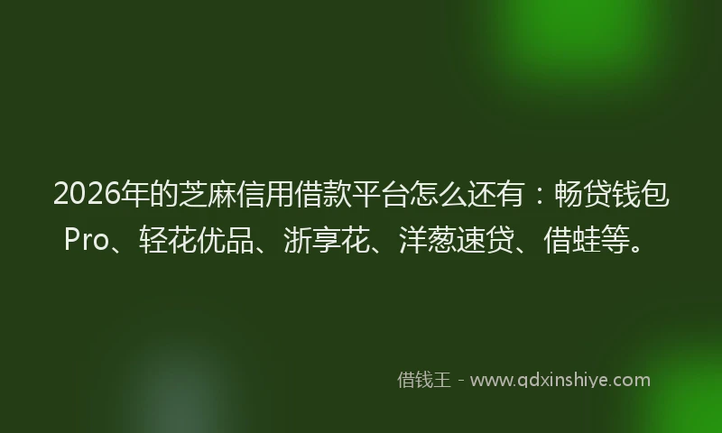 2026年的芝麻信用借款平台怎么还有：畅贷钱包Pro、轻花优品、浙享花、洋葱速贷、借蛙等。