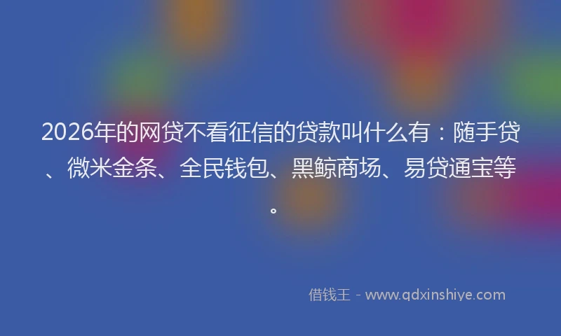 2026年的网贷不看征信的贷款叫什么有：随手贷、微米金条、全民钱包、黑鲸商场、易贷通宝等。