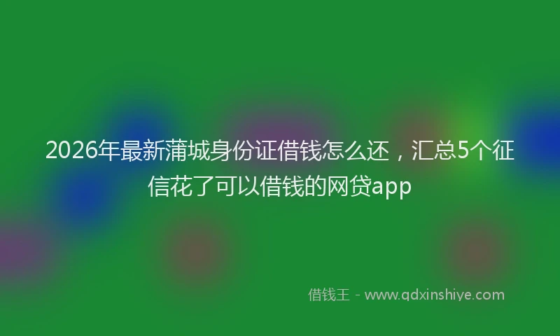2026年最新蒲城身份证借钱怎么还，汇总5个征信花了可以借钱的网贷app