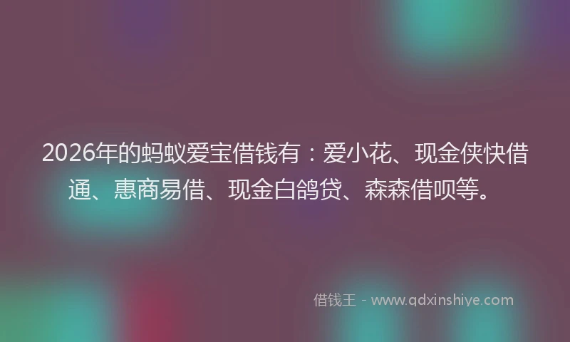 2026年的蚂蚁爱宝借钱有：爱小花、现金侠快借通、惠商易借、现金白鸽贷、森森借呗等。