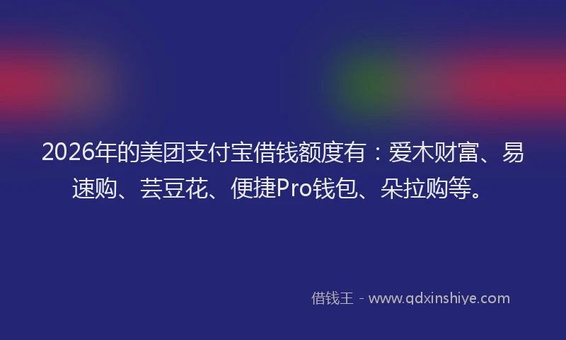 2026年的美团支付宝借钱额度有：爱木财富、易速购、芸豆花、便捷Pro钱包、朵拉购等。