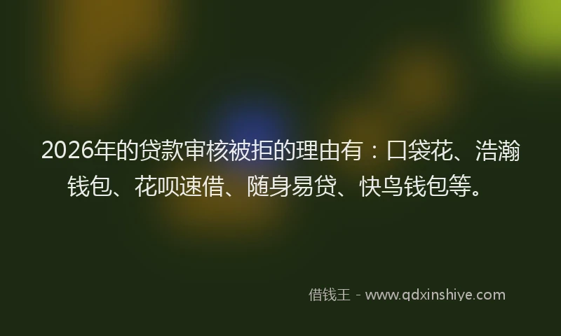 2026年的贷款审核被拒的理由有：口袋花、浩瀚钱包、花呗速借、随身易贷、快鸟钱包等。