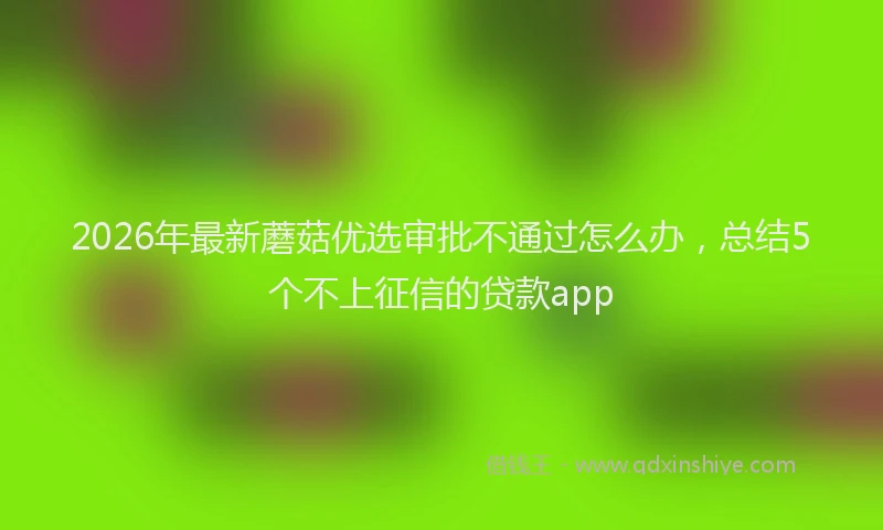 2026年最新蘑菇优选审批不通过怎么办，总结5个不上征信的贷款app