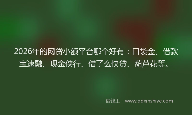 2026年的网贷小额平台哪个好有：口袋金、借款宝速融、现金侠行、借了么快贷、葫芦花等。