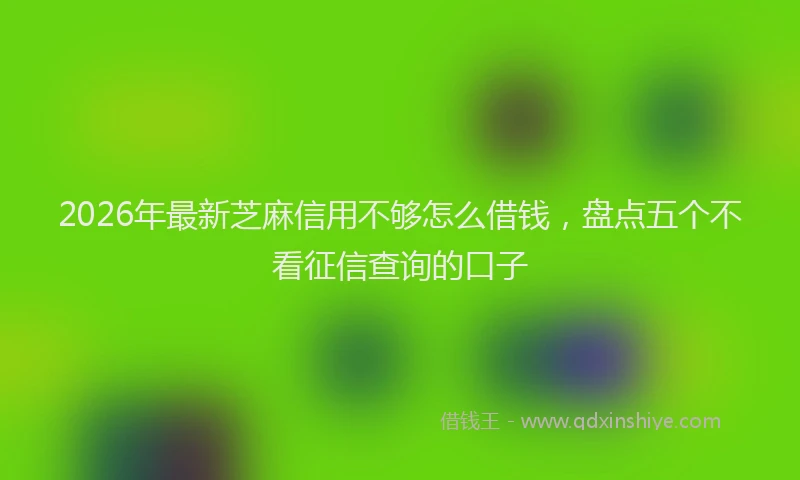 2026年最新芝麻信用不够怎么借钱，盘点五个不看征信查询的口子
