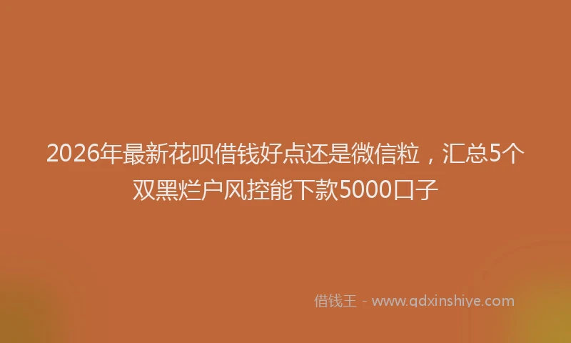 2026年最新花呗借钱好点还是微信粒，汇总5个双黑烂户风控能下款5000口子