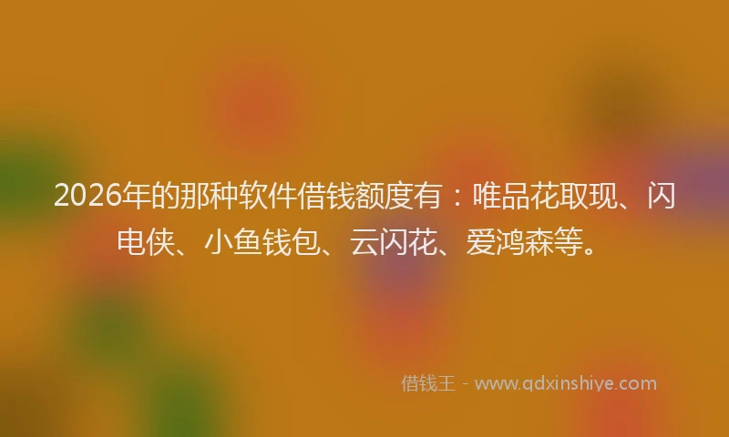 2026年的那种软件借钱额度有：唯品花取现、闪电侠、小鱼钱包、云闪花、爱鸿森等。