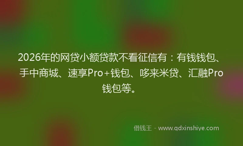 2026年的网贷小额贷款不看征信有：有钱钱包、手中商城、速享Pro+钱包、哆来米贷、汇融Pro钱包等。