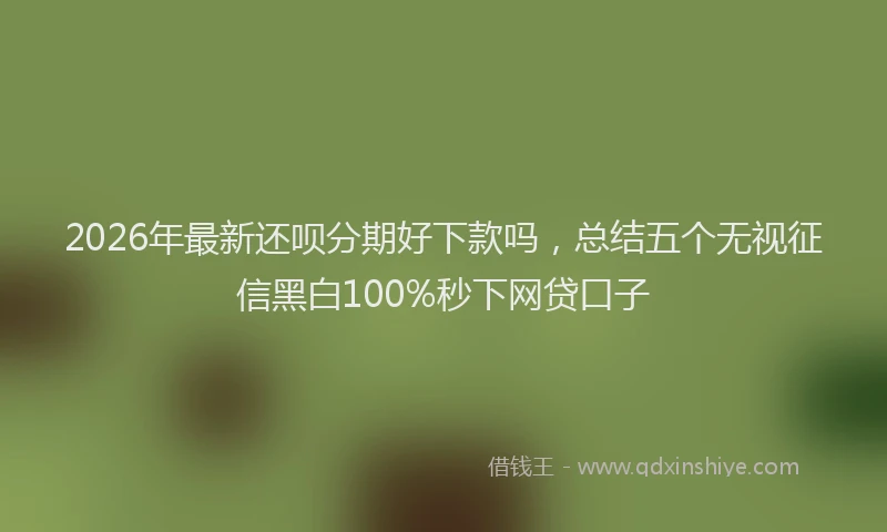 2026年最新还呗分期好下款吗，总结五个无视征信黑白100%秒下网贷口子