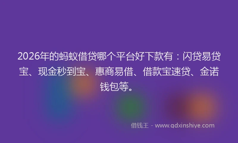 2026年的蚂蚁借贷哪个平台好下款有：闪贷易贷宝、现金秒到宝、惠商易借、借款宝速贷、金诺钱包等。