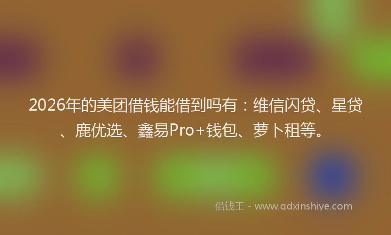 2026年的美团借钱能借到吗有：维信闪贷、星贷、鹿优选、鑫易Pro+钱包、萝卜租等。
