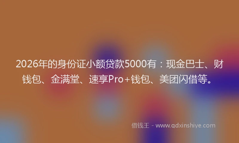 2026年的身份证小额贷款5000有：现金巴士、财钱包、金满堂、速享Pro+钱包、美团闪借等。