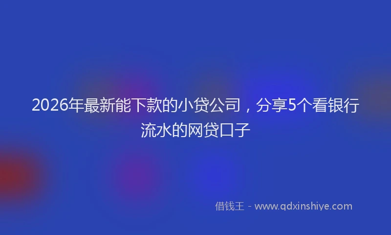 2026年最新能下款的小贷公司，分享5个看银行流水的网贷口子