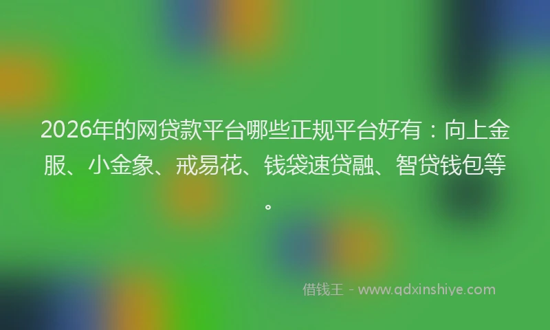 2026年的网贷款平台哪些正规平台好有：向上金服、小金象、戒易花、钱袋速贷融、智贷钱包等。