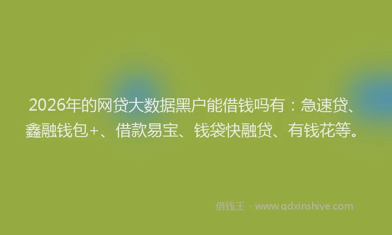 2026年的网贷大数据黑户能借钱吗有：急速贷、鑫融钱包+、借款易宝、钱袋快融贷、有钱花等。