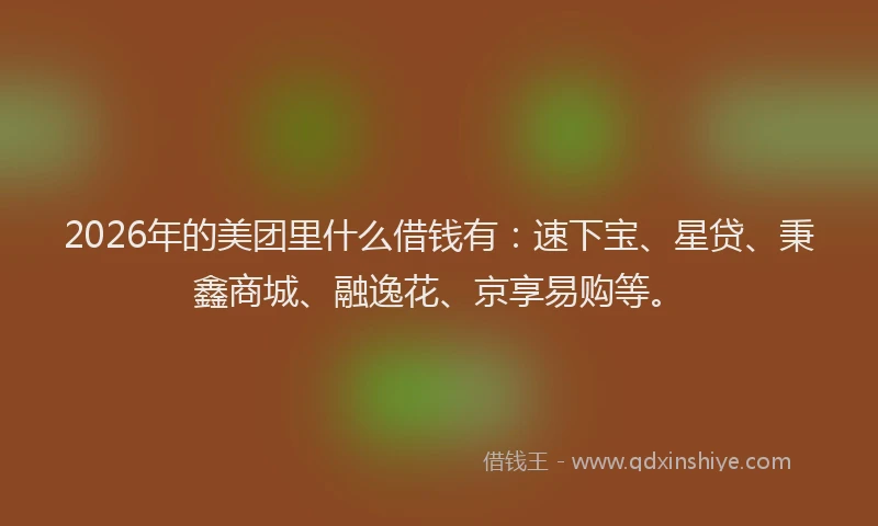 2026年的美团里什么借钱有：速下宝、星贷、秉鑫商城、融逸花、京享易购等。