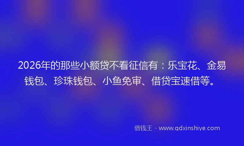 2026年的那些小额贷不看征信有：乐宝花、金易钱包、珍珠钱包、小鱼免审、借贷宝速借等。
