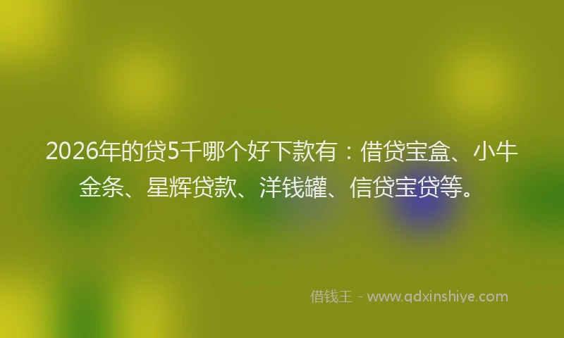 2026年的贷5千哪个好下款有：借贷宝盒、小牛金条、星辉贷款、洋钱罐、信贷宝贷等。